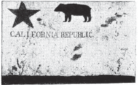 Photograph of first bear flag